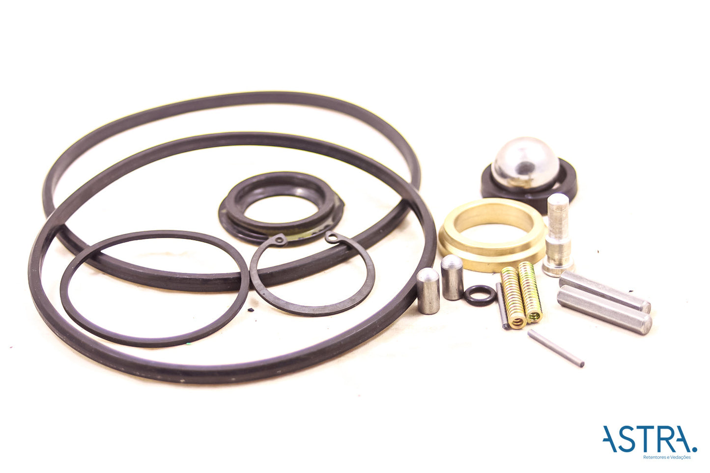 REPARO - 37231 - CASE E95306