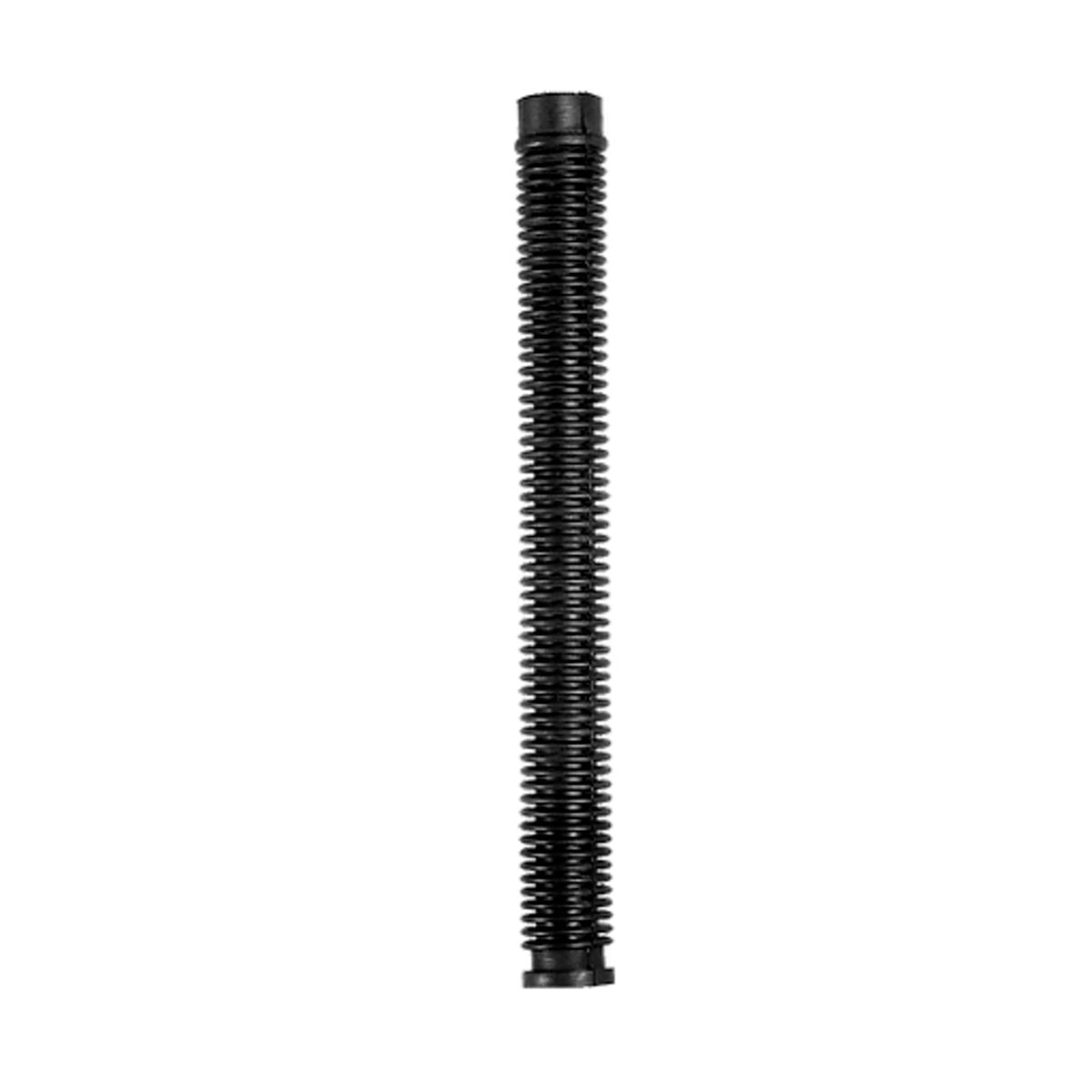 MANGOTE - CL388 - BG116