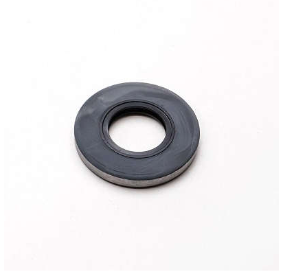RETENTOR - 6256 - 00963-BAG