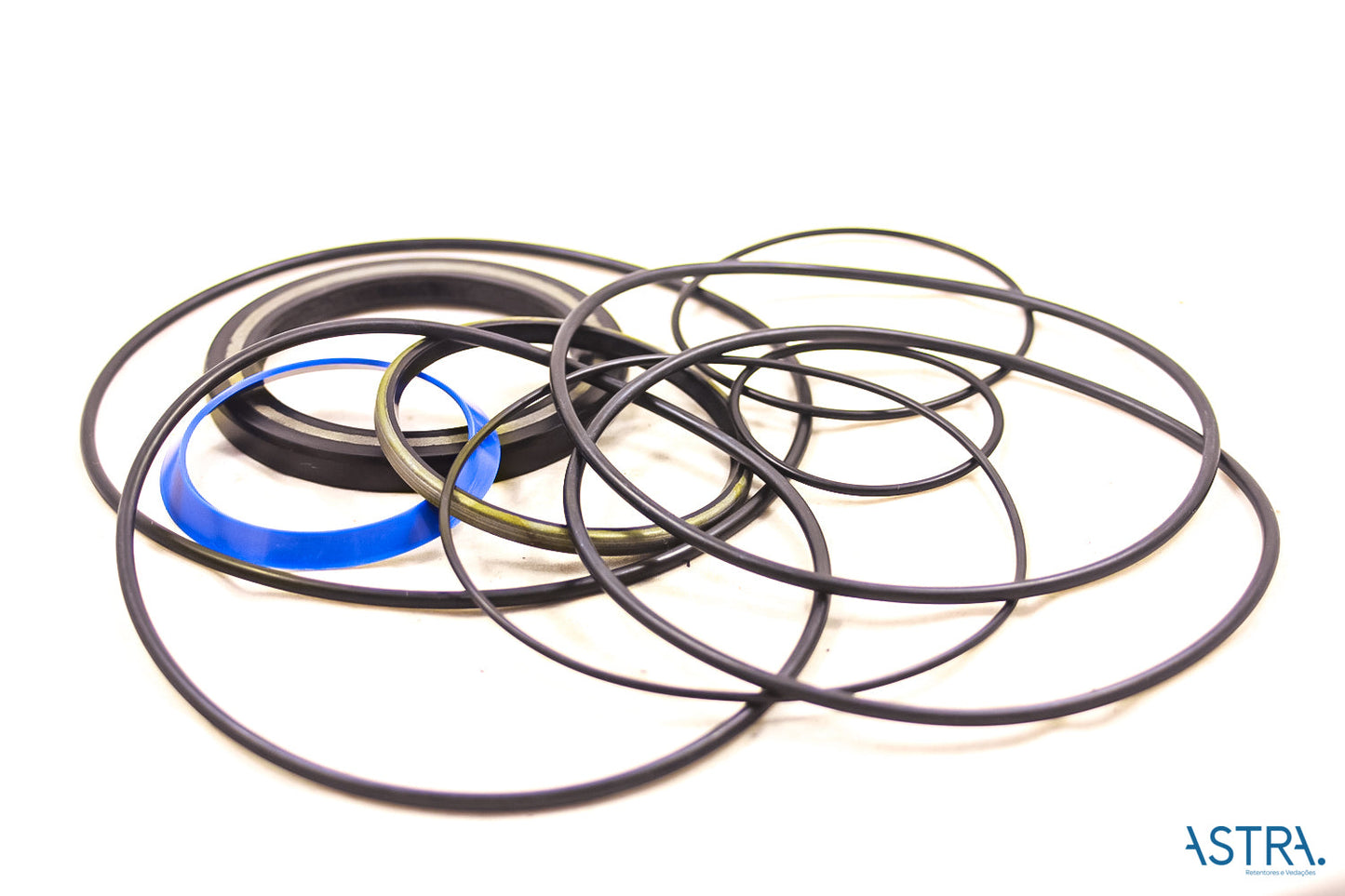 REPARO - 37155 - DAN 151B0129