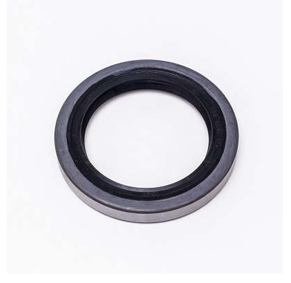 RETENTOR - 5235 - 00081-BG
