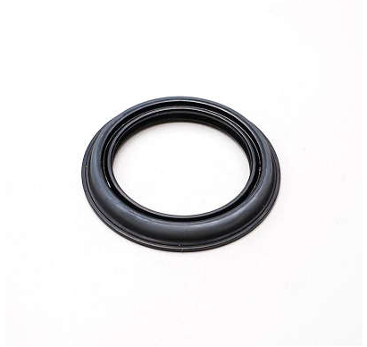 RETENTOR - 6295 - 01881-GOE